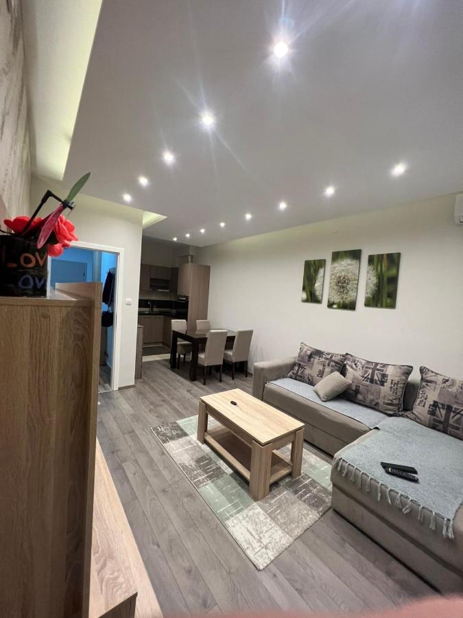 Apartment Dana Banja Koviljača Buitenkant foto
