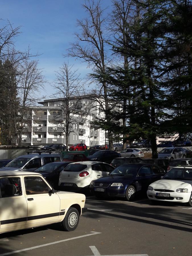 Apartment Dana Banja Koviljača Buitenkant foto